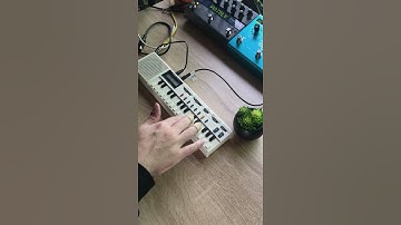 Casio VL-1 (1979 Synthesizer) Ambient Soundscape