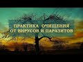 Простая практика очищения организма от паразитов и вирусов.