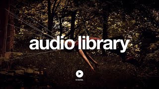 Solar Flares – Silent Partner (No Copyright Music)