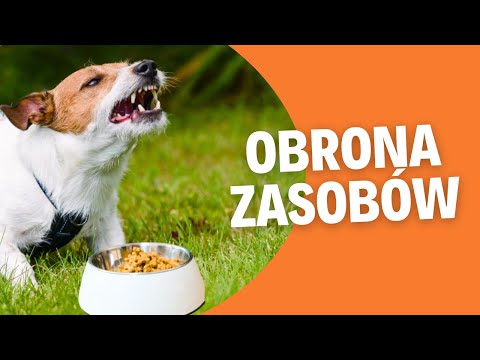 Obrona zasobów -