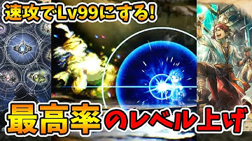 最高のレベル上げ方法！経験値100倍とかはありませんが今回これが一番美味しいかも。【オクトパストラベラー0】【naotin】