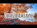 Осень в Америке