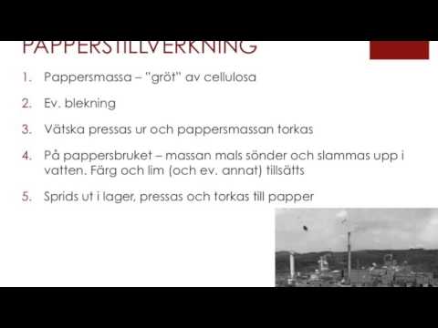 Video: Utställning 