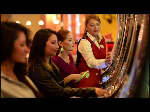 Envianos un mensaje y te enviamos un bono VIP. Planet Paradise Casino.