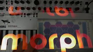 Another! Korg Minilogue and Sensel Morph - Isomorphic keys