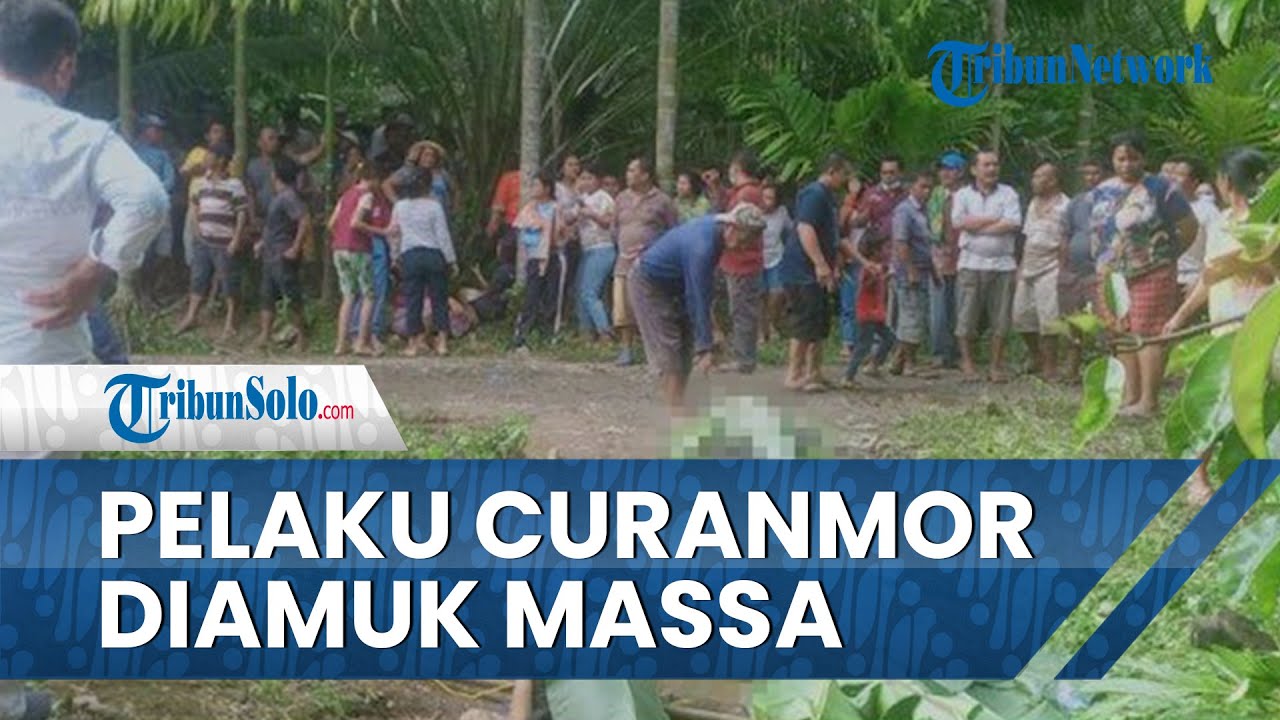 Aksi Pencurian Berujung Maut, 3 Pelaku Tewas Diamuk Massa di Deliserdang, Identitas Belum Diketahui