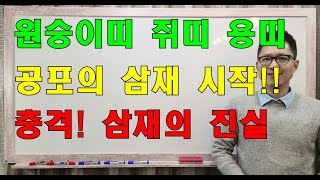 ★공포탈출!!★ 22년부터 시작, 원숭이, 쥐, 용띠의 충격적인 삼재의 진실!! #명리학 #명리학강의 #사주…