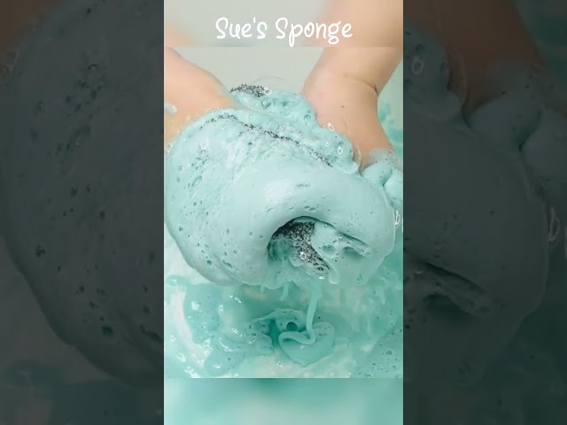 ASMR Grooming Sponge x Body Soap