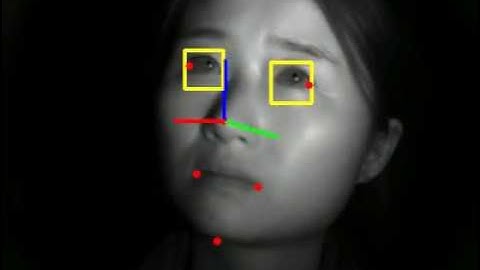 pose estimation & eye detection