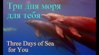 Три дня моря для тебя/Three days of sea for you