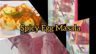 Spicy Egg Masala in 5 minutes / முட்டை மசாலா / अंडा मसाला /DIY Bird feeder /Dove /Our daily visitor