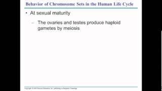 campbell chapter 13 part 1 campbell chapter 13 part 1