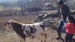 Doğduğum Yerlere Geldim,Anam Sanki Evde Gibi. Annesini Özleyenlere Öyhayatı Şfet Öy