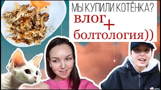 У нас будет котёнок? Отвечаю на ваши гневные комментарии;)/KOREA VLOG/