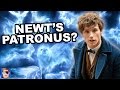 Harry Potter Theory: Newt's Patronus