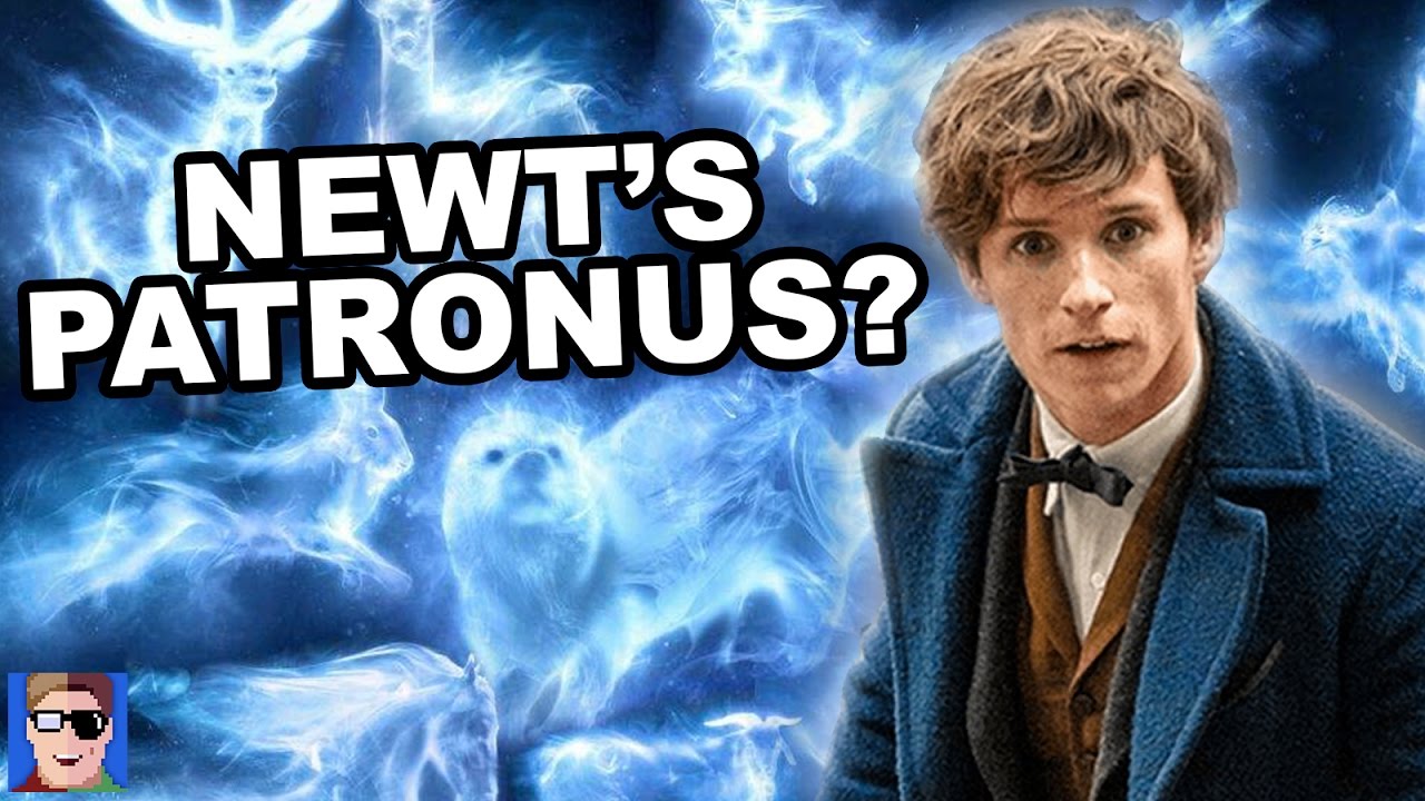 Harry Potter Theory Newt's Patronus YouTube