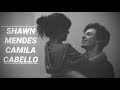Shawn Mendes and Camila Cabello (shawmila): Their Story