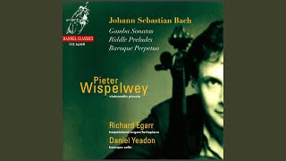 Sonata for Viola da Gamba and Harpsichord No. 3 in G Minor, BWV 1029: II. Adagio