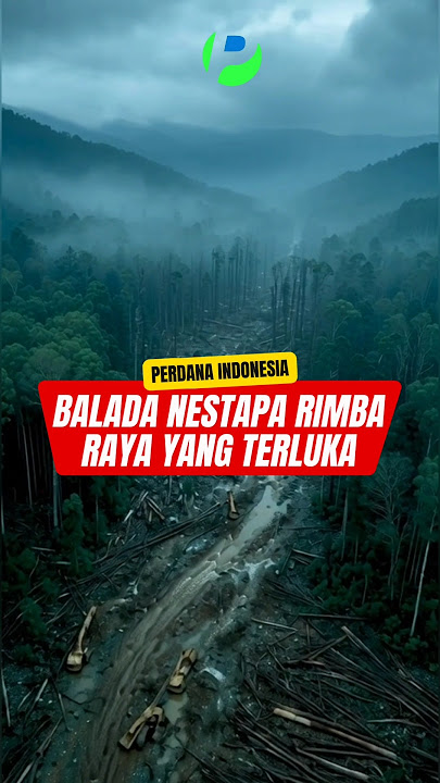 BALADA NESTAPA RIMBA RAYA YANG TERLUKA #rimbaraya #baladanestapa #rimbarayaterluka