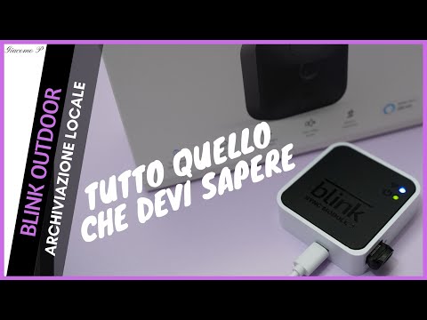 Blink Outdoor - archiviazione Locale - tutto quello che devi sapere