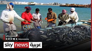 سلطنة عمان تعزز الأمن الغذائي عبر تطوير قطاع الثروة السمكية | #الاقتصاد