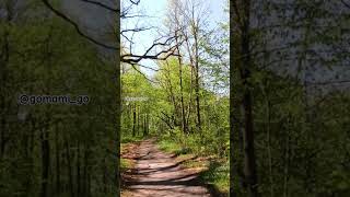 Areas Forestales cerca de #chicago senderos naturales para pasear en bicicleta #bikelover #bike