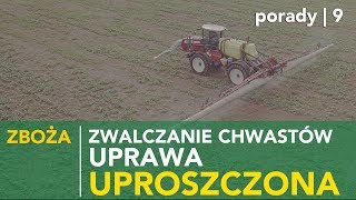 Zwalczanie chwastów w uprawie uproszczonej.