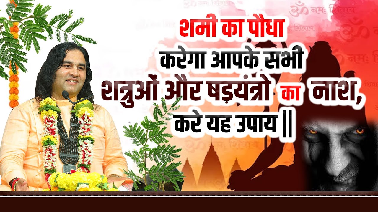 शमी का पौधा करेगा आपके सभी शत्रुओं और षडयंत्रो का नाश, करे यह उपाय || #dnthakurji #enemy