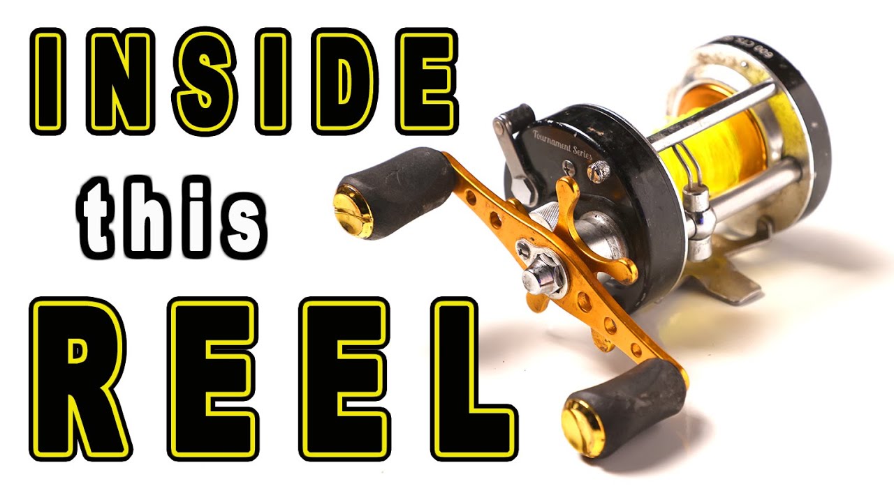 best bass lure ever made My Top Five Bass Lures  Texas Kayak Fisher