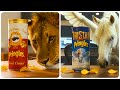 Movie Studios As Pringles By AI 
