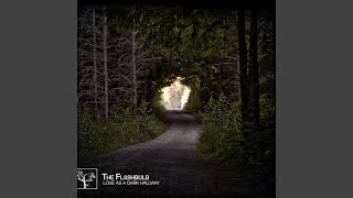 Video thumbnail of "The Flashbulb - Pastorial Whiskers"