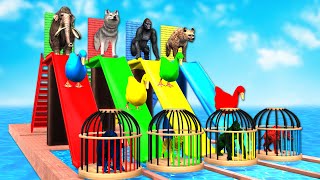 Don’t Break The Wrong Wall with Long Slide Elephant, Cow, Lion, Gorilla, Cat Wild Animals Cage Game
