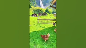 وَدَخَلَ الْمَدِينَةَ عَلَىٰ حِينِ غَفْلَةٍ مِّنْ أَهْلِهَا (سورة القصص، الآية 15).