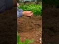 Farming Ka Base – Jameen Ki Upri Parat Ka Mahatva! #facts #youtubeshorts