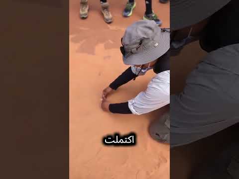 مرشد سياحي صنع جراند كانيون من حفنة رمل