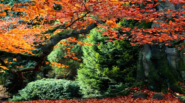 Bill Pursell ~ Autumn Magic