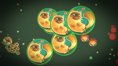 BLOB.IO DESTROYING TEAMS (BLOB SOLO/TEAM GP)