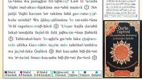 ختمة من مصحف التجويد باللغة الألمانية الصفحة رقم 360