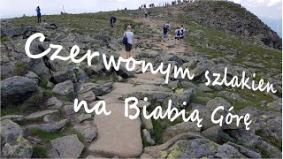 Babia Góra czerwonym szlakiem, podobno łatwy