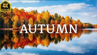 Enchanting Autumn Forests with Beautiful Piano Music🍁4K Autumn Ambience & Fall Foliage by Enjoy Nature 103 views 6 months ago 24 hours