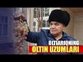 Oltiariqda uzumni qanday qilib bir yil saqlashmoqda?