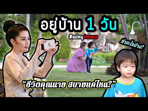 วีดีโอ: วิธีสร้างลูกหนูที่บ้านอย่างรวดเร็วในฤดูร้อน