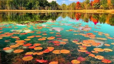 سورة المدثر عبدالرحمن السديس - Surah Al Muddathir Abdulrahman Al-Sudais