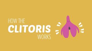 Bish Guide To The Clit