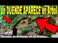 Duende habla por primera vez su voz no es de este mundo parte 36 duendes grabados llorando