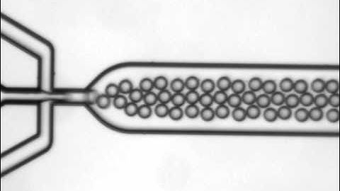 drop formation in a microfluidic device