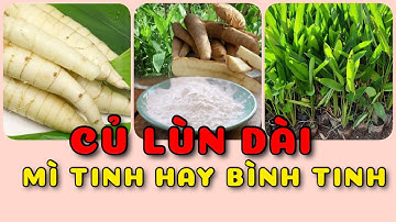Củ lùn dài | 0386569374 - Ngọc Ngân Bến Tre | Chuyên cây độc lạ