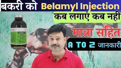 बकरी को Belamyl Inj कब लगाएं कब नहीं Belamyl Injection Goat  Goat Care