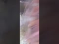 how to make perfectly mixed seafood  part1