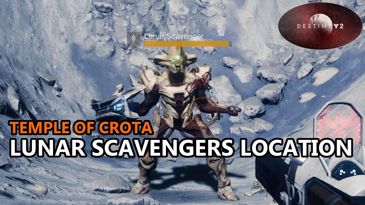 destiny wolf scavengers destiny wolf scavengers